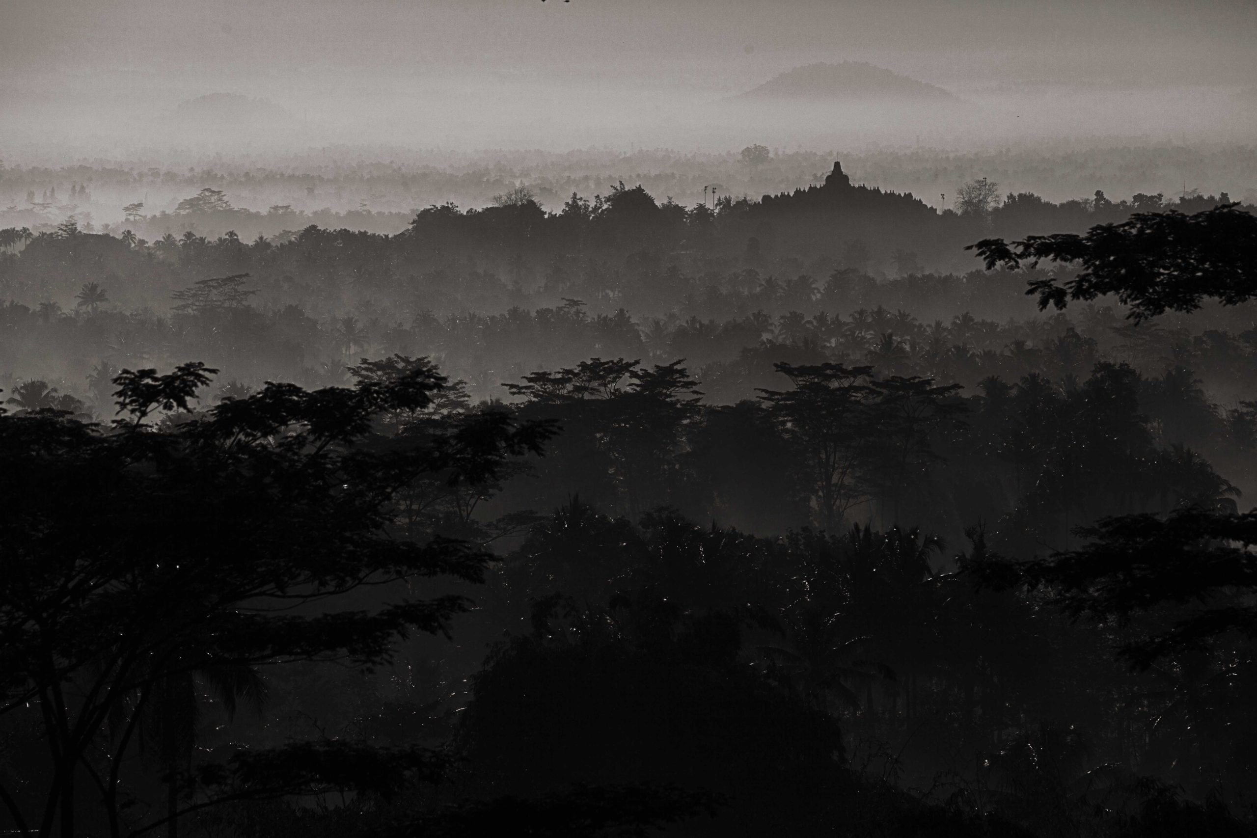Indonesian Landscape 29
