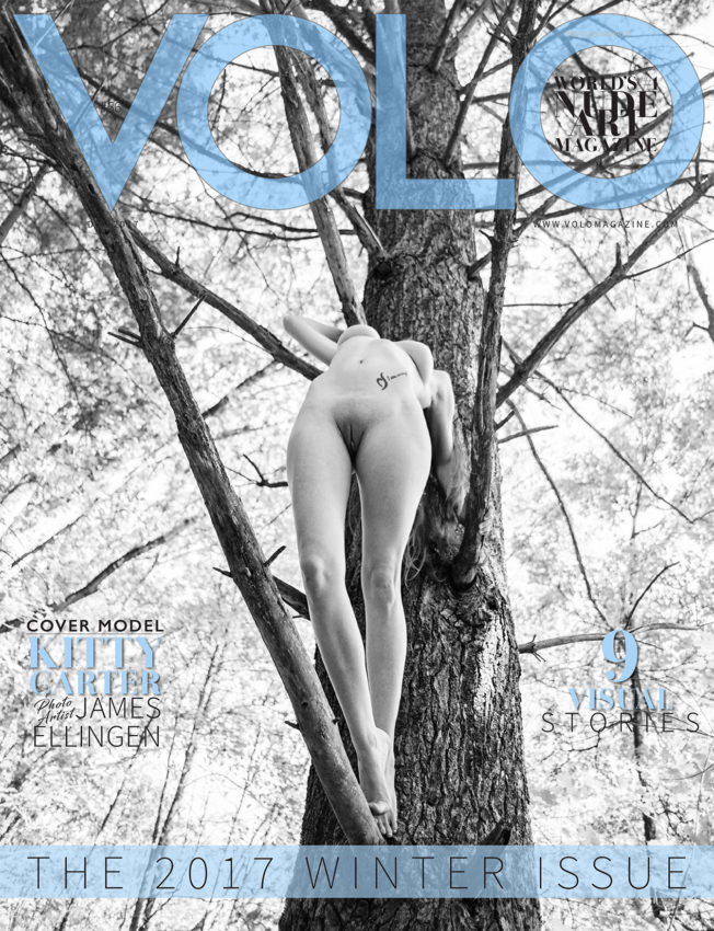 2017:  Volo Magazine